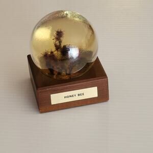 Vintage Nature Gems  Educational Embedments Honey Bee Glass Globe Paperweight